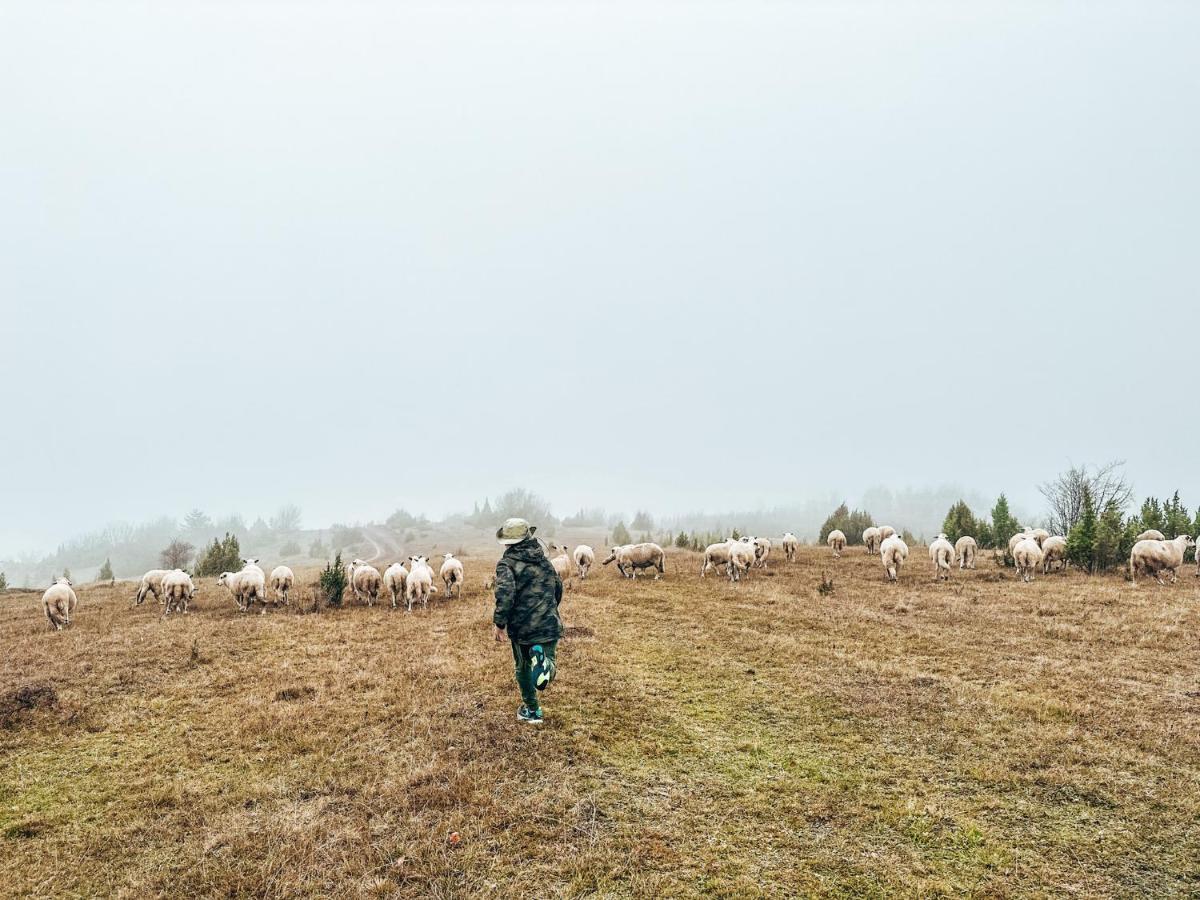 Vila Petunija Sjenica Kültér fotó